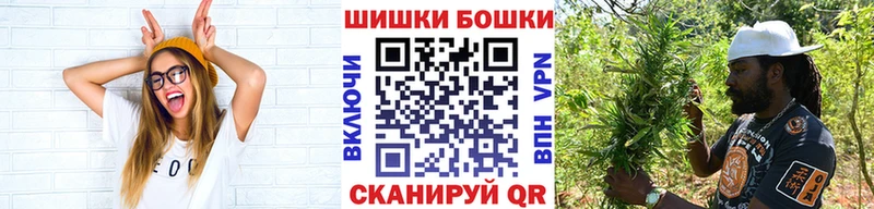 Купить закладку Галлюциногенные грибы  Канабис  Мефедрон  Гашиш  Жердевка