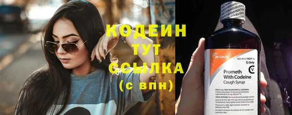 хмурый Сосновоборск