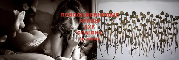 прущая мука Сосновка