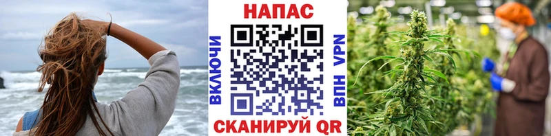 Канабис MAZAR  Купить закладки  Жердевка 